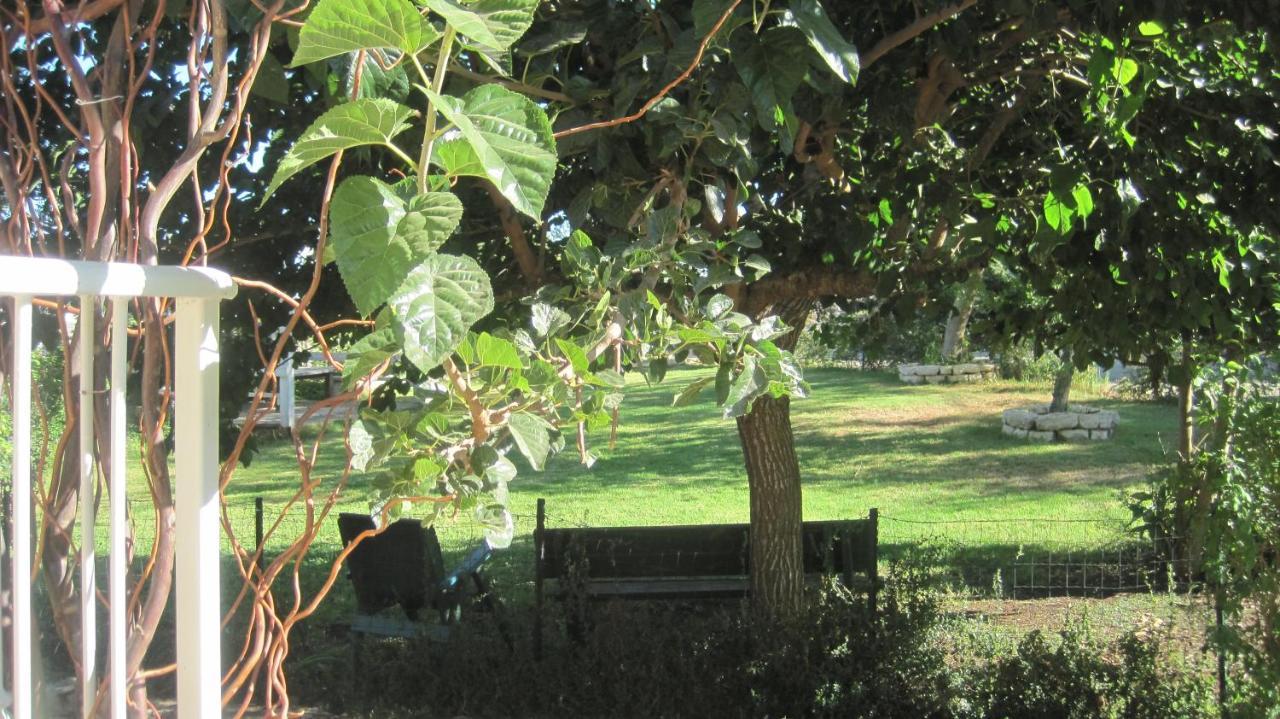 The House By The Mulberry Tree Apartment Neve Ilan Exterior photo